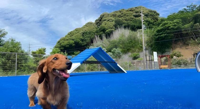 Izumigo Lake Hamanako Dog Paradise Hotel Hamamatsu Buitenkant foto